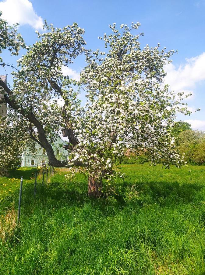 Polny Zakatek - Pokoje Goscinne Rybnica Exterior photo